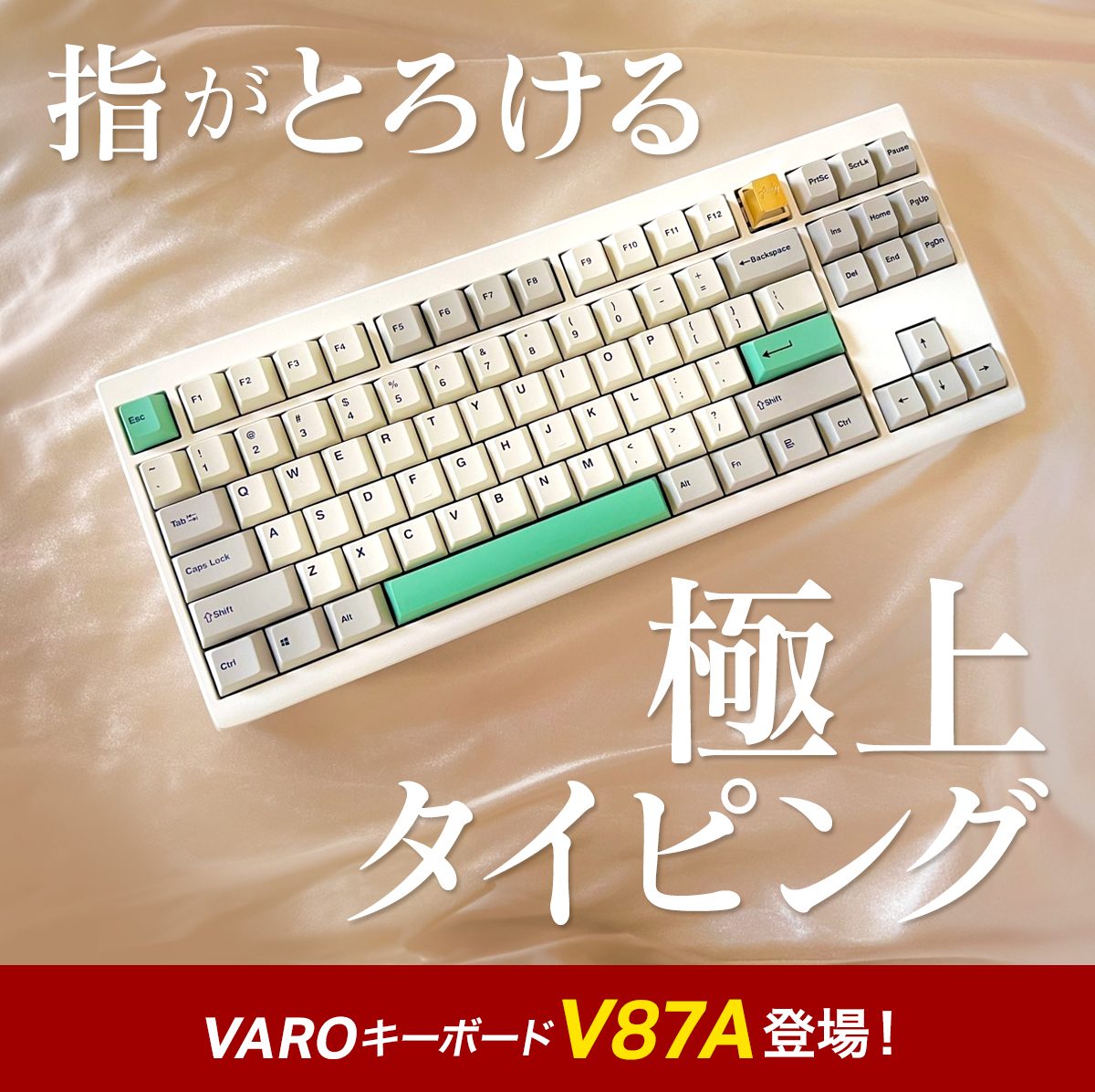 V87A – AG Japan Marketing V87A – AG Japan Marketing